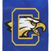 Custom printed 12"x18" Nylon Flags
