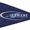 Printed Nylon Custom Pennant Flag 2'x3'