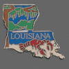 Louisiana Shape Lapel Pin