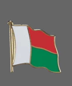 Madagascar Lapel Pin