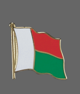 Madagascar Lapel Pin