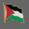 Palestine Flag Lapel Pins