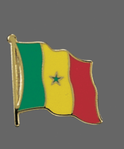 Senegal Lapel Pin