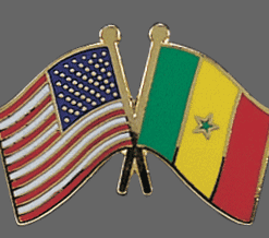 Senegal Friendship Pins