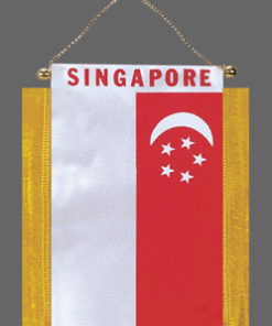 Singapore Mini Banner