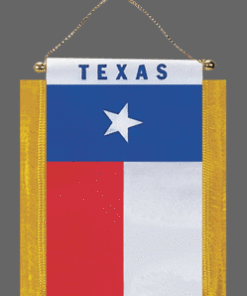 Texas Mini Banner