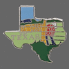 Texas Shape Lapel Pin