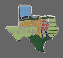 Texas Shape Lapel Pin
