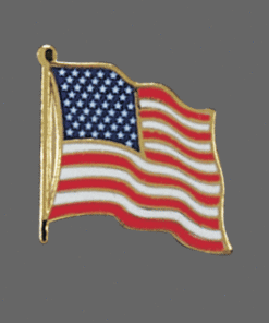 USA Flag Pin