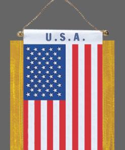 USA Mini Banner