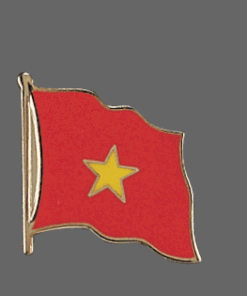 Vietnam Lapel Pin