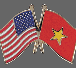 Vietnam Friendship Pins