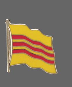 Vietnam (South) Lapel Pin