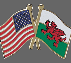 Wales Friendship Pins