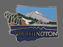 Washington Shape Lapel Pin