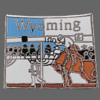 Wyoming Shape Lapel Pin