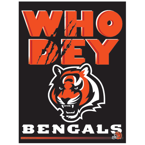 Cincinnati Bengals Banner