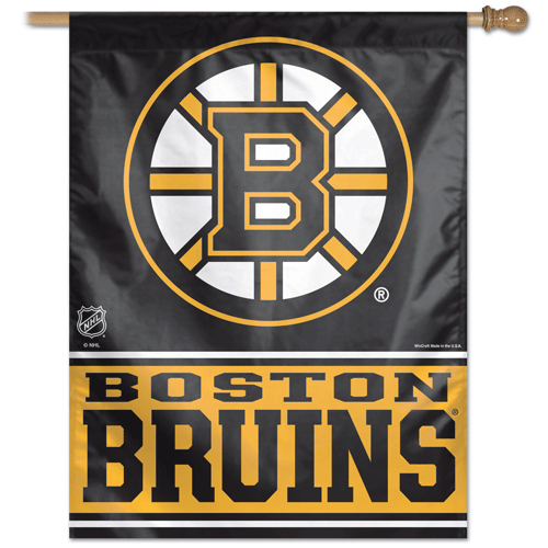 Boston Bruins Banner