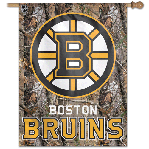 Boston Bruins Banner