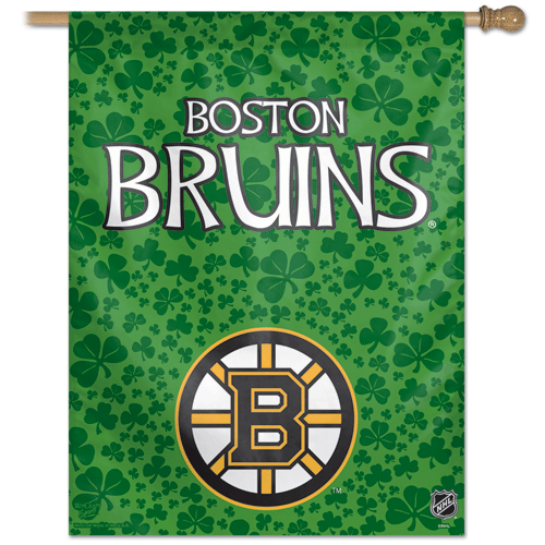 Boston Bruins Banner