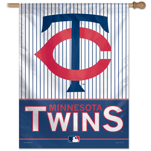 Minnesota Twins Banner