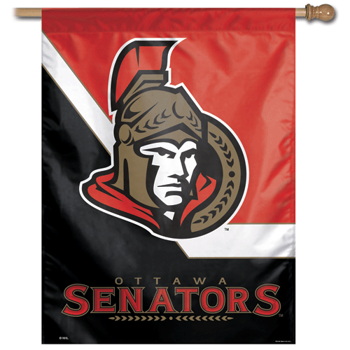 Ottawa senators Banner