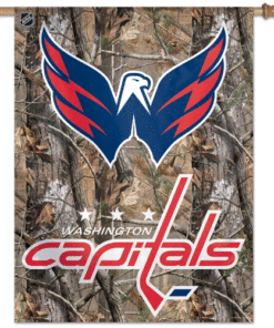 Washington Capitals Banner