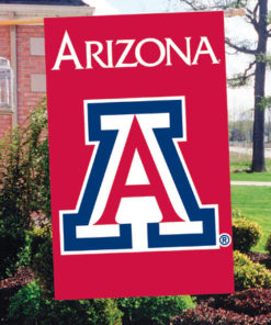 Arizona Double Sided Banner 44"x28"
