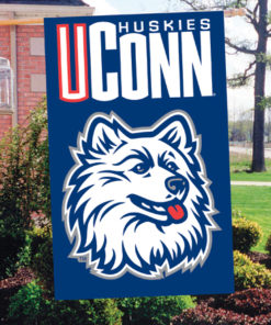 Connecticut Double Sided Banner 44"x28"