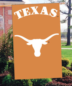 Texas Double Sided Banner 44"x28"