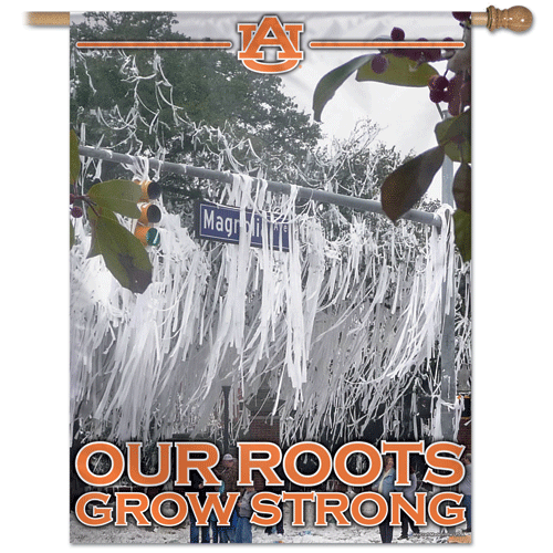 Auburn-Toomer's Corner Fund Banner