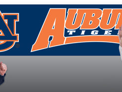 Auburn 8' Banner 8'x2'