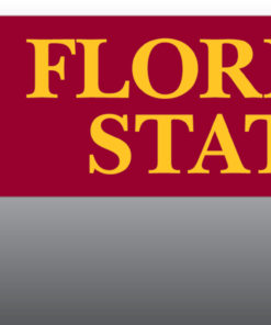 Florida State 8' Banner 8'x2'