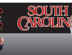 S Carolina 8' Banner 8'x2'