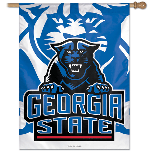 Georgia State Banner