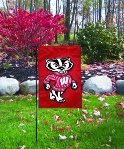 Wisconsin Garden Flag 15"x10.5"