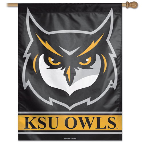Kennesaw State University Banner