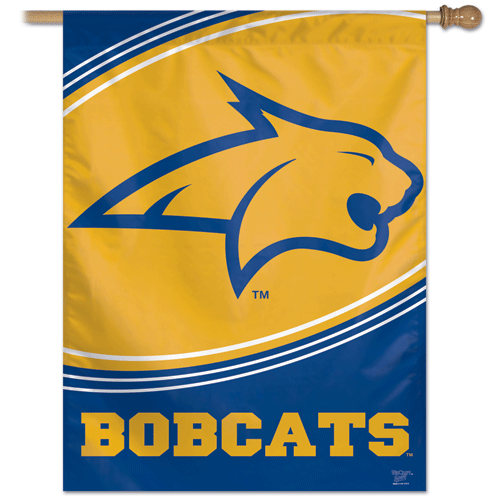 Montana State Banner