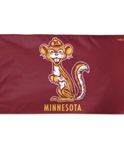 Minnesota U College Vault 3x5' Flag