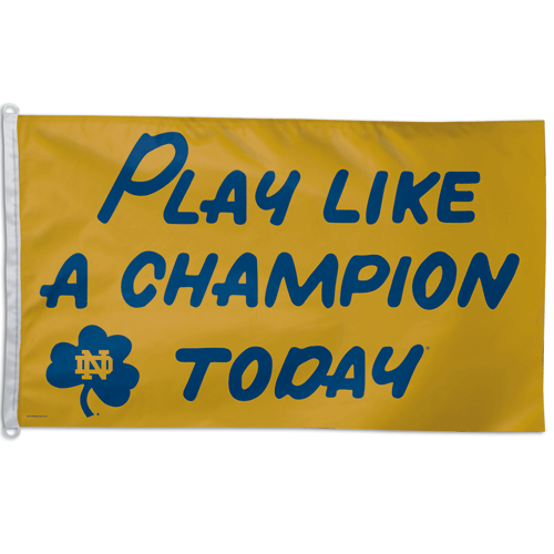 Play Like A Champion Today 3x5' Flag