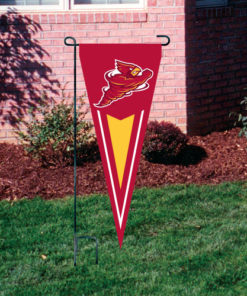 Iowa State Yard Pennat 34"x14"