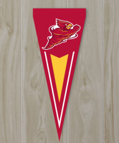 Iowa State Yard Pennat 34"x14"