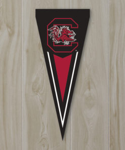 S Carolina Yard Pennat 34"x14"