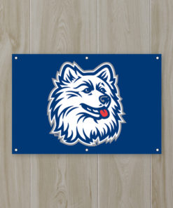 Connecticut Fan Banner 2'x3'
