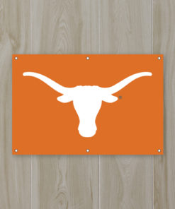 Texas Fan Banner 2'x3'
