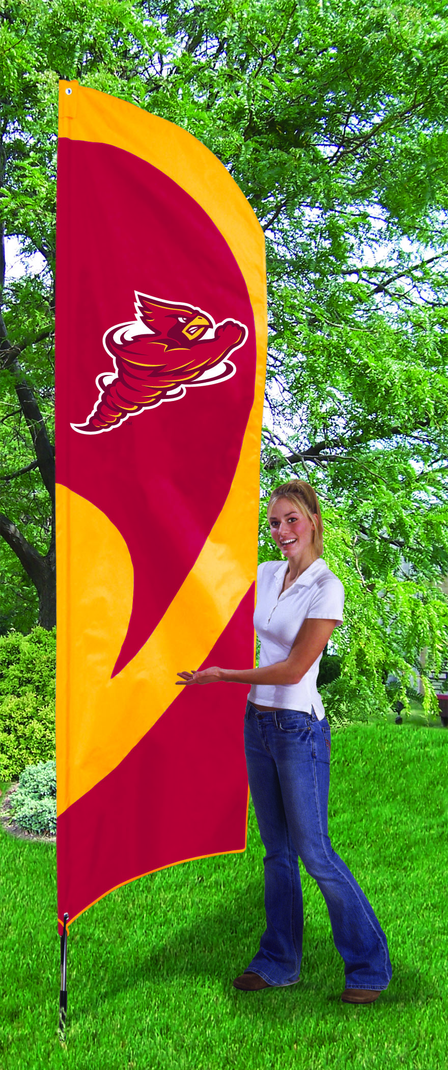Iowa State Tall Flag 8.5'x2.5'