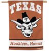 Texas Longhorns Vault Vertical Banner