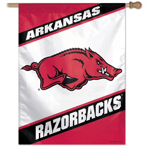 University of Arkansas Banner