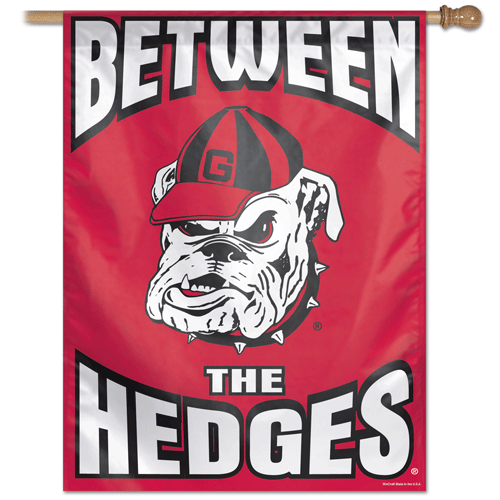 University of Georgia Banner