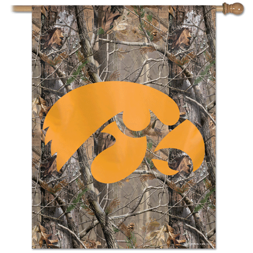 University of Iowa Banner